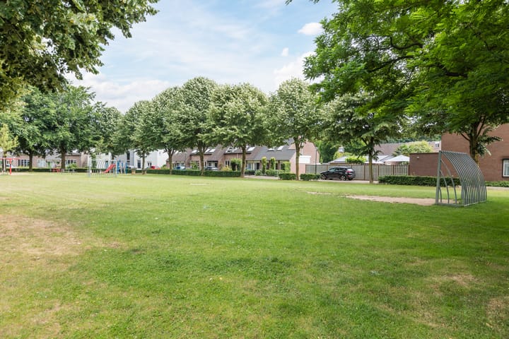 Foto 25 van Sleedoorn 25