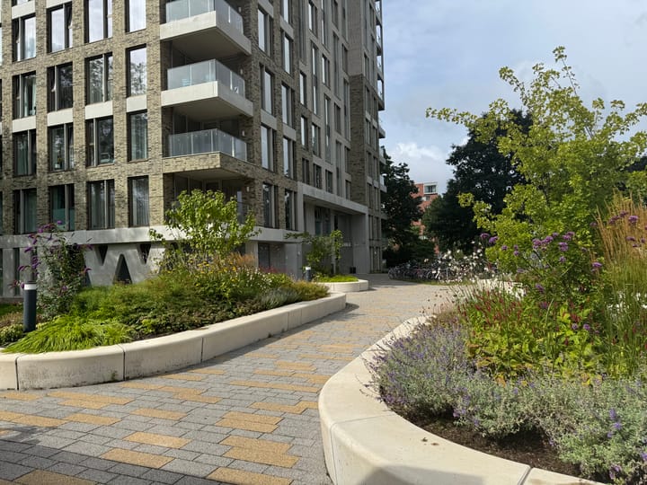 Foto 5 van Aalscholverpad 37