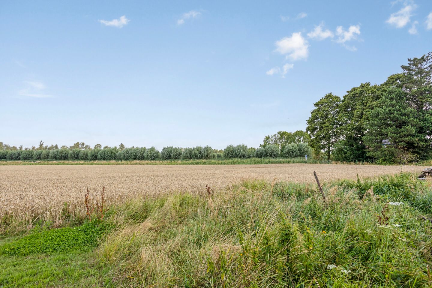 Foto 34 van Flierstraat 28