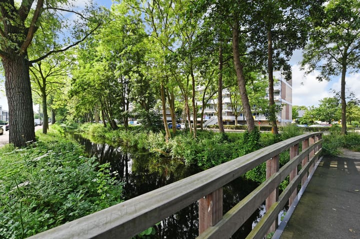 Foto 45 van Forellendaal 544