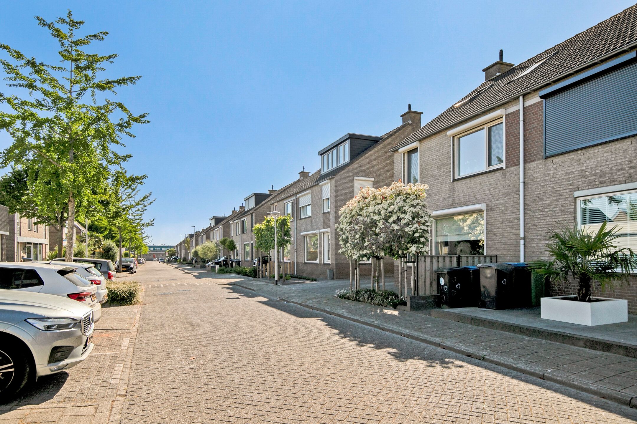 Foto 51 van Zwartewaal 37