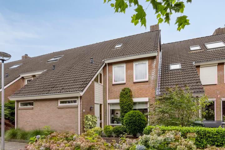 Wit Hollandven 25