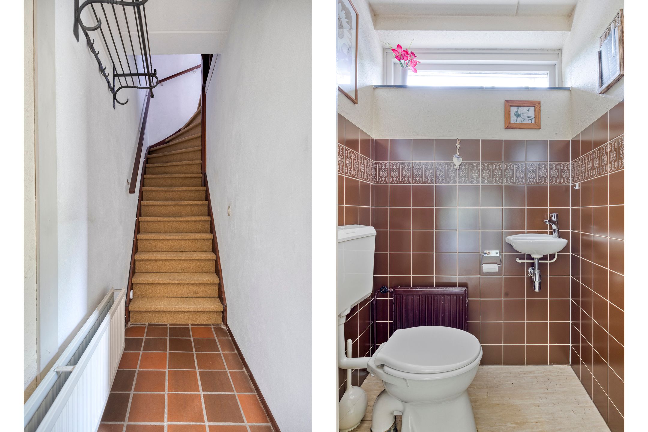 Photo 18 of Wit Hollandven 25