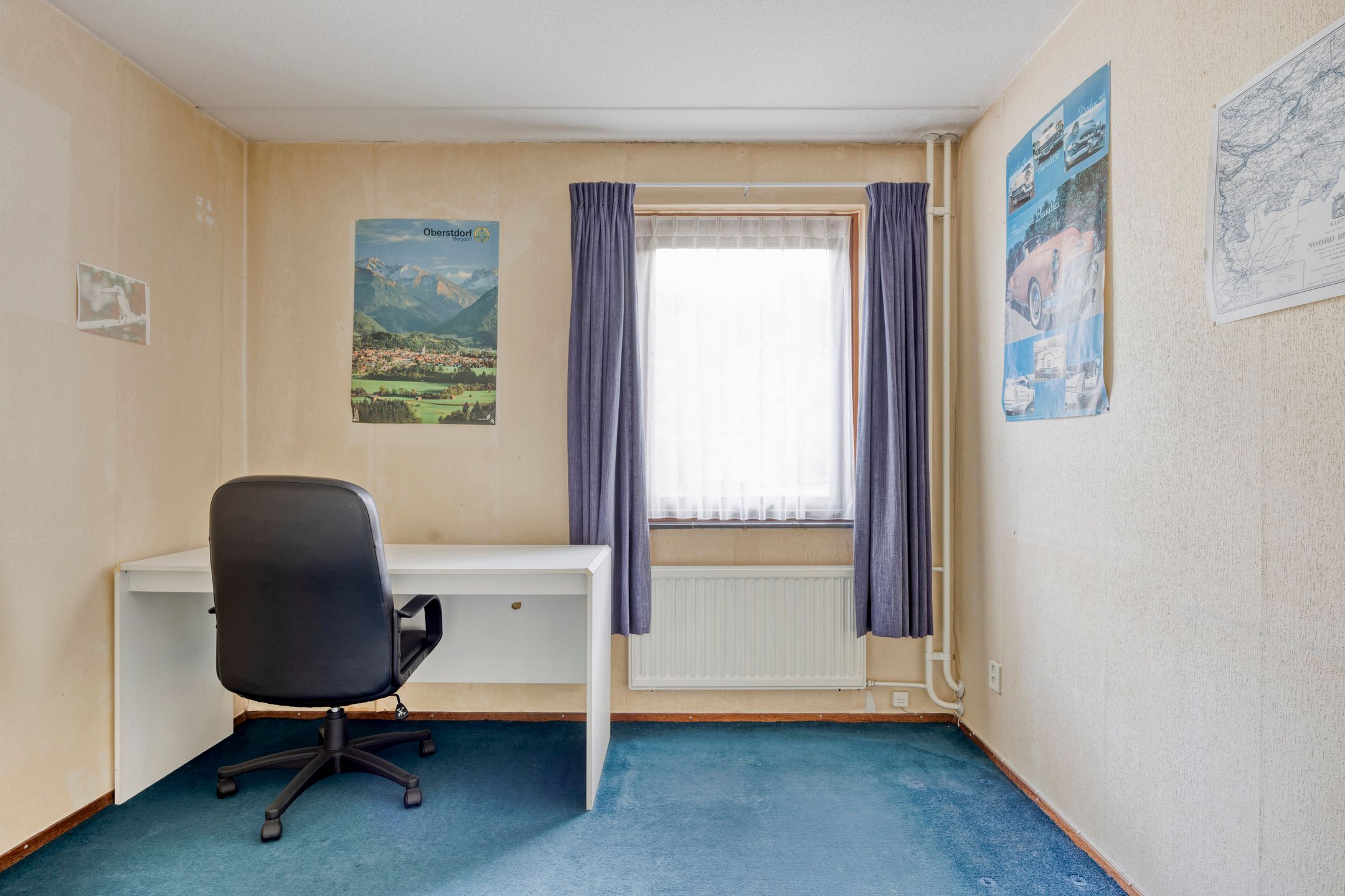 Photo 27 of Wit Hollandven 25