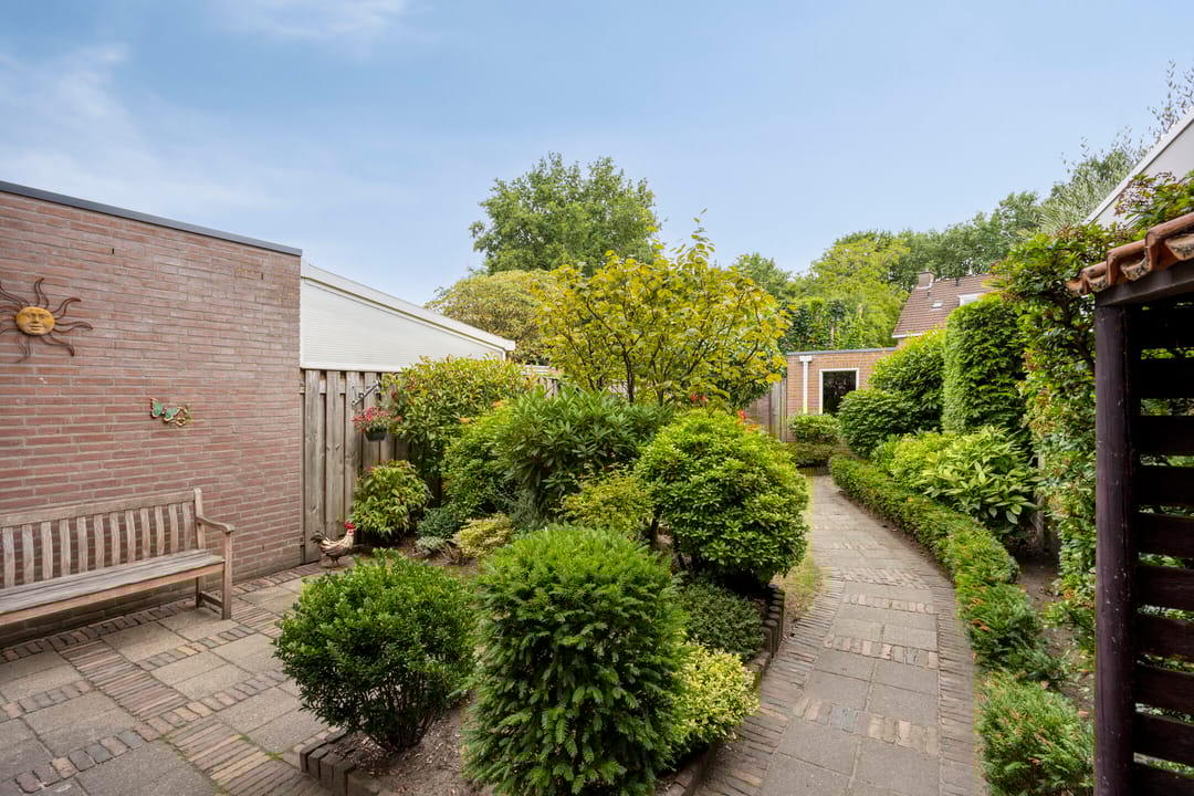 Photo 32 of Wit Hollandven 25