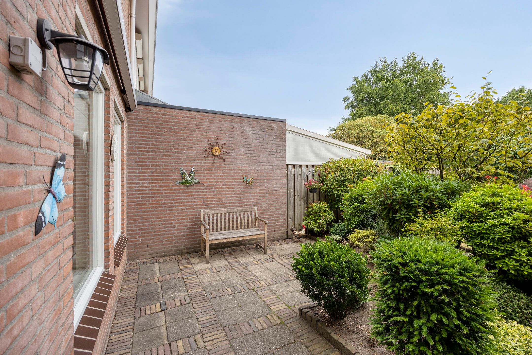 Photo 33 of Wit Hollandven 25