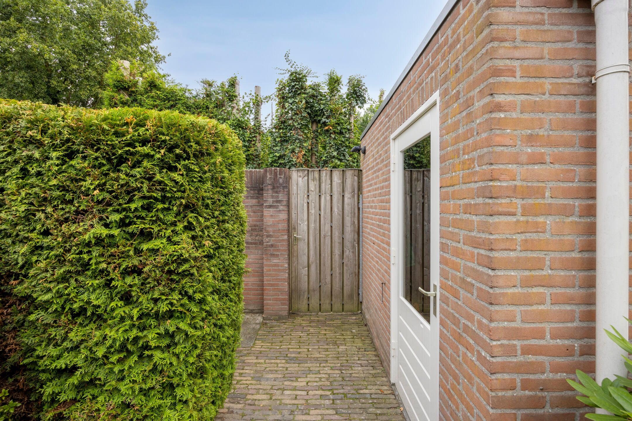 Photo 36 of Wit Hollandven 25