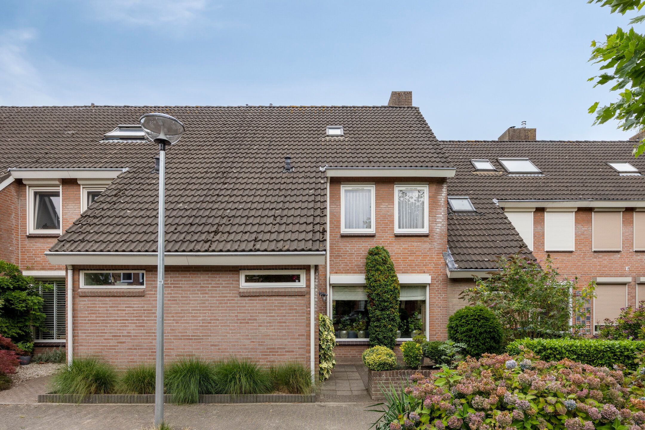 Photo 39 of Wit Hollandven 25