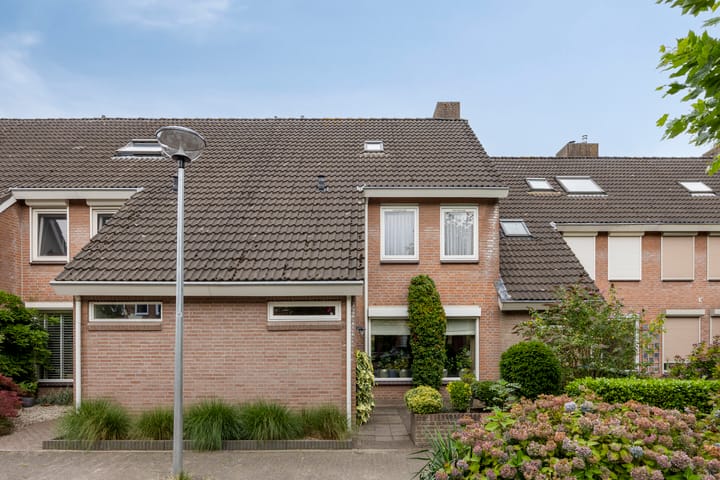 Foto 39 van Wit Hollandven 25