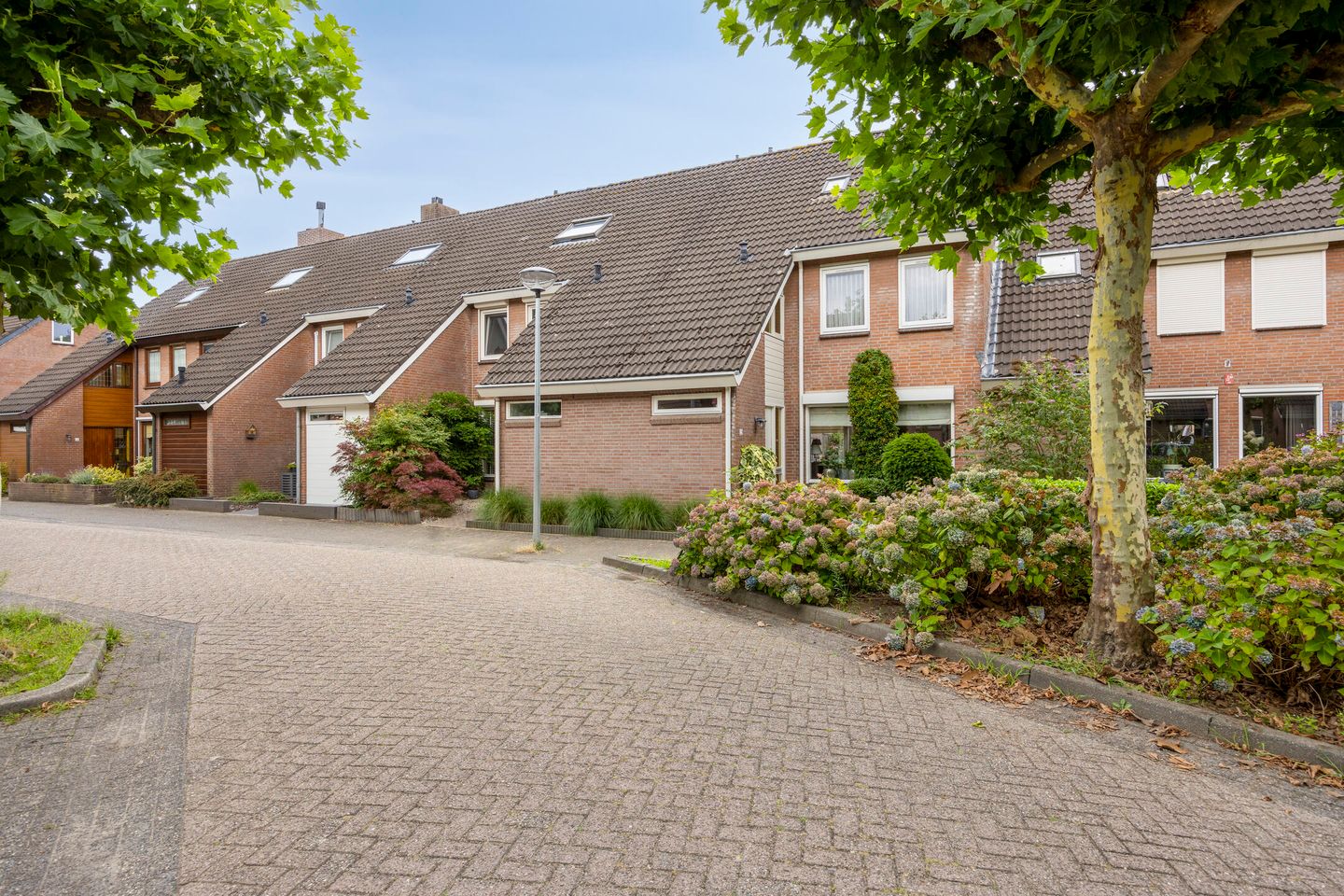 Photo 40 of Wit Hollandven 25