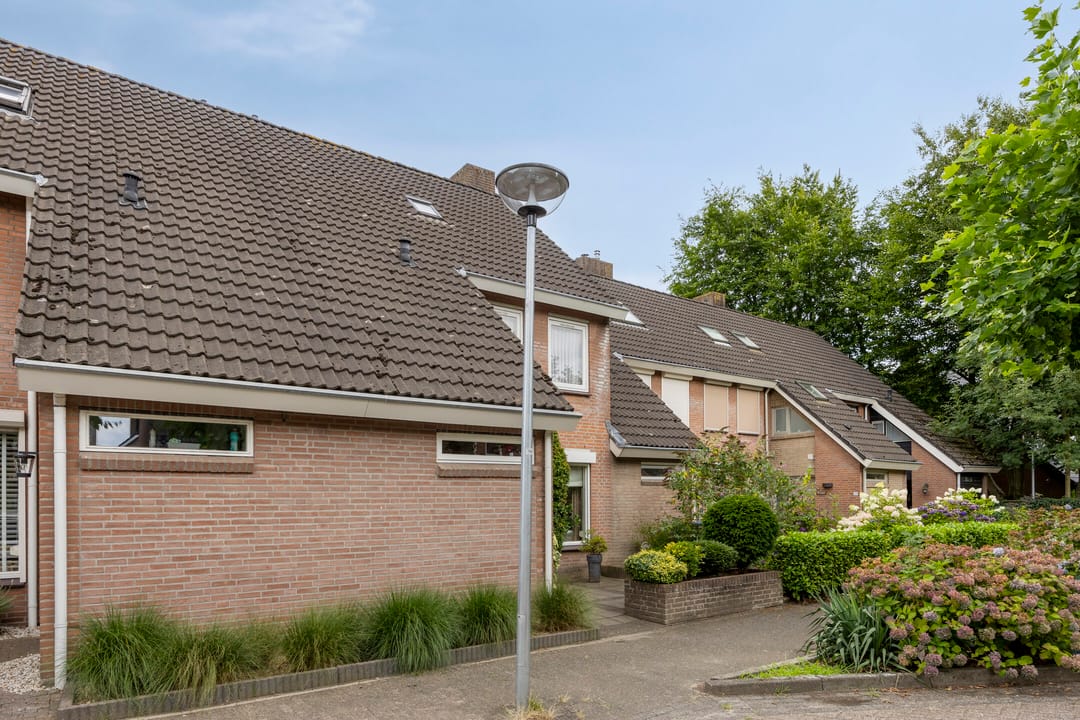 Photo 41 of Wit Hollandven 25