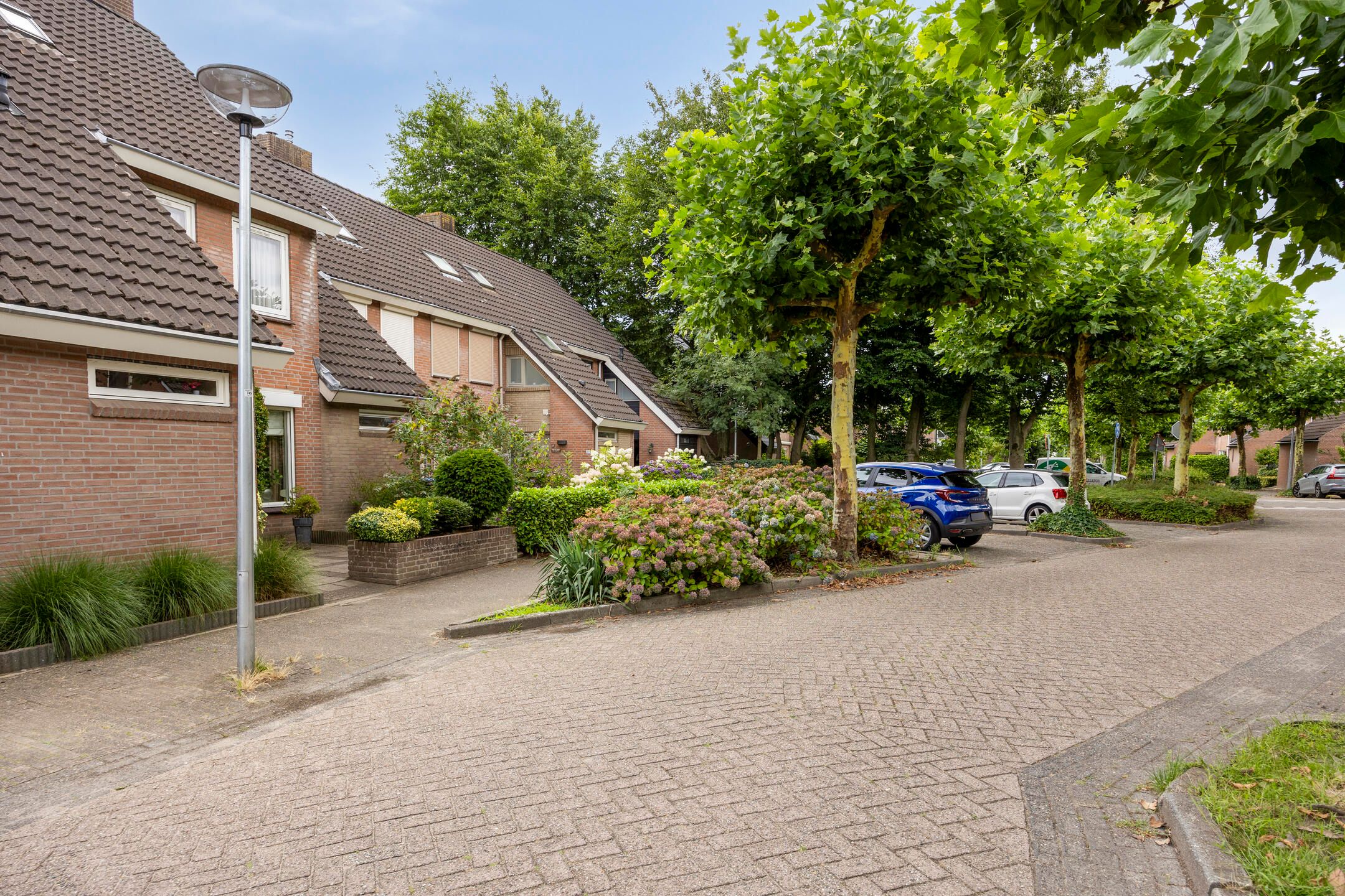 Photo 42 of Wit Hollandven 25