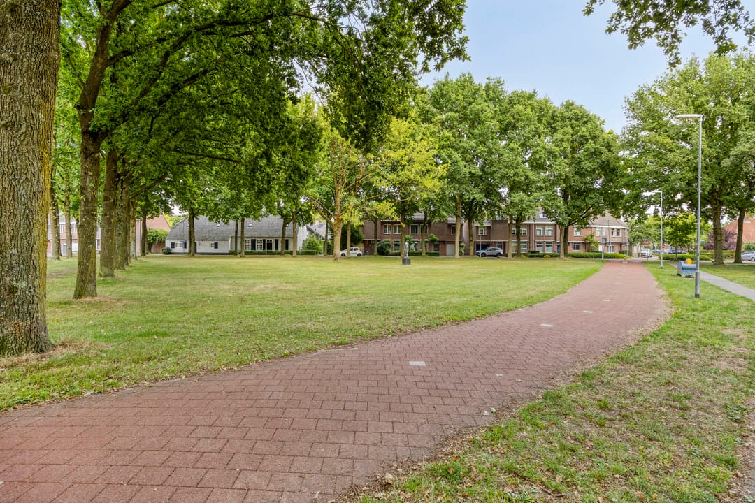 Photo 43 of Wit Hollandven 25