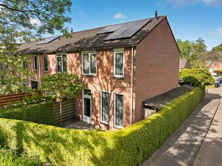 Foto 41 van Hofstukken 1