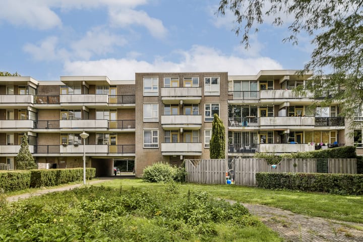 Foto 2 van Wamelplein 173