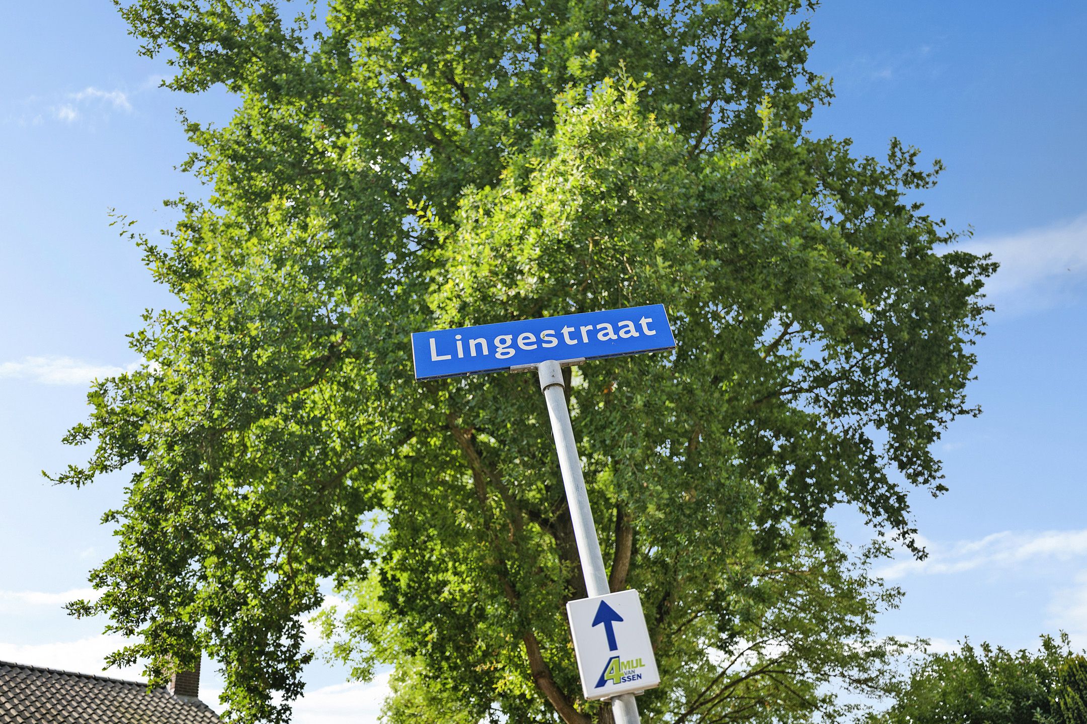 Foto 6 van Lingestraat 1