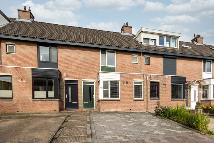 Rosmolenstraat 107