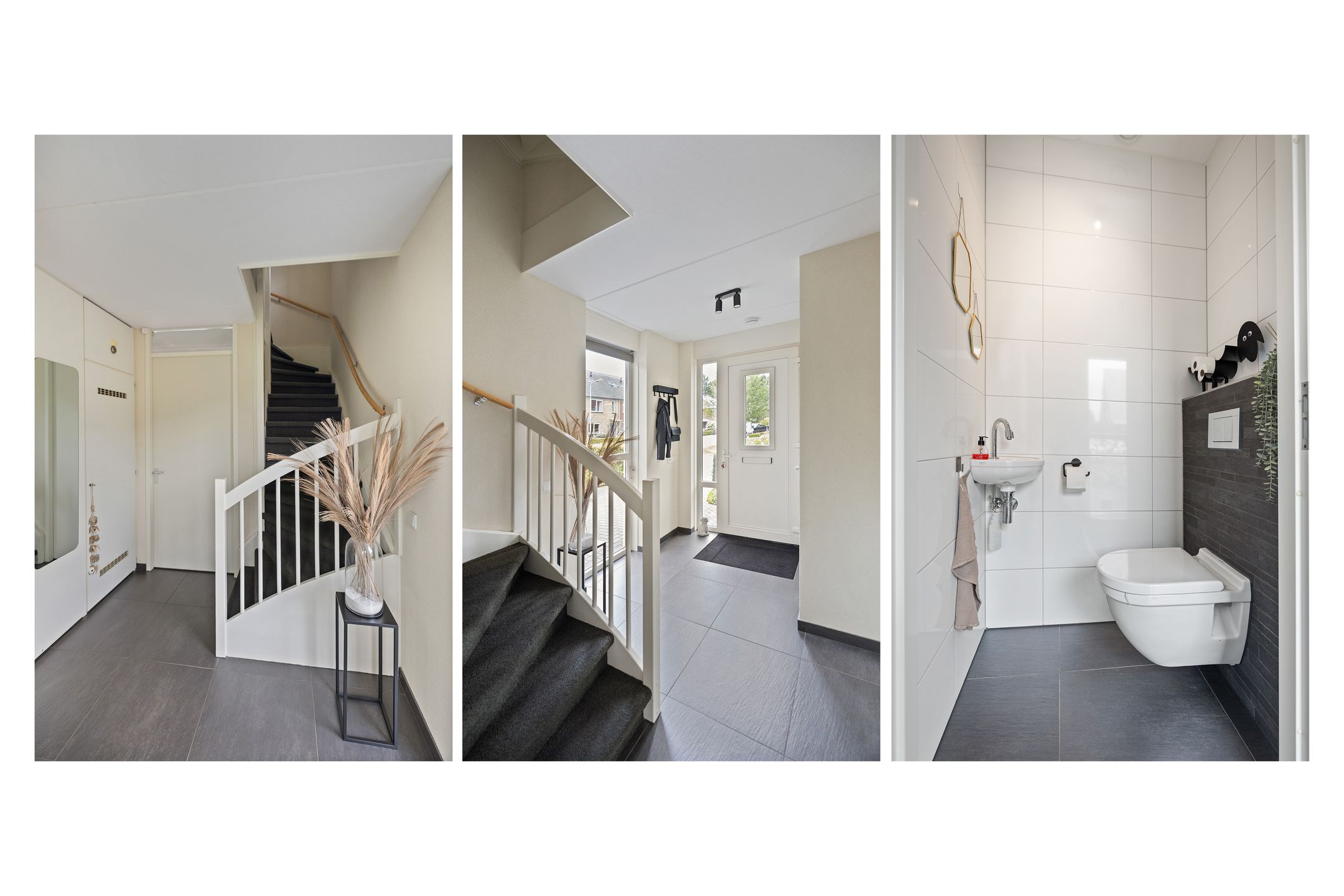 Photo 12 of Sleutelbloem 11