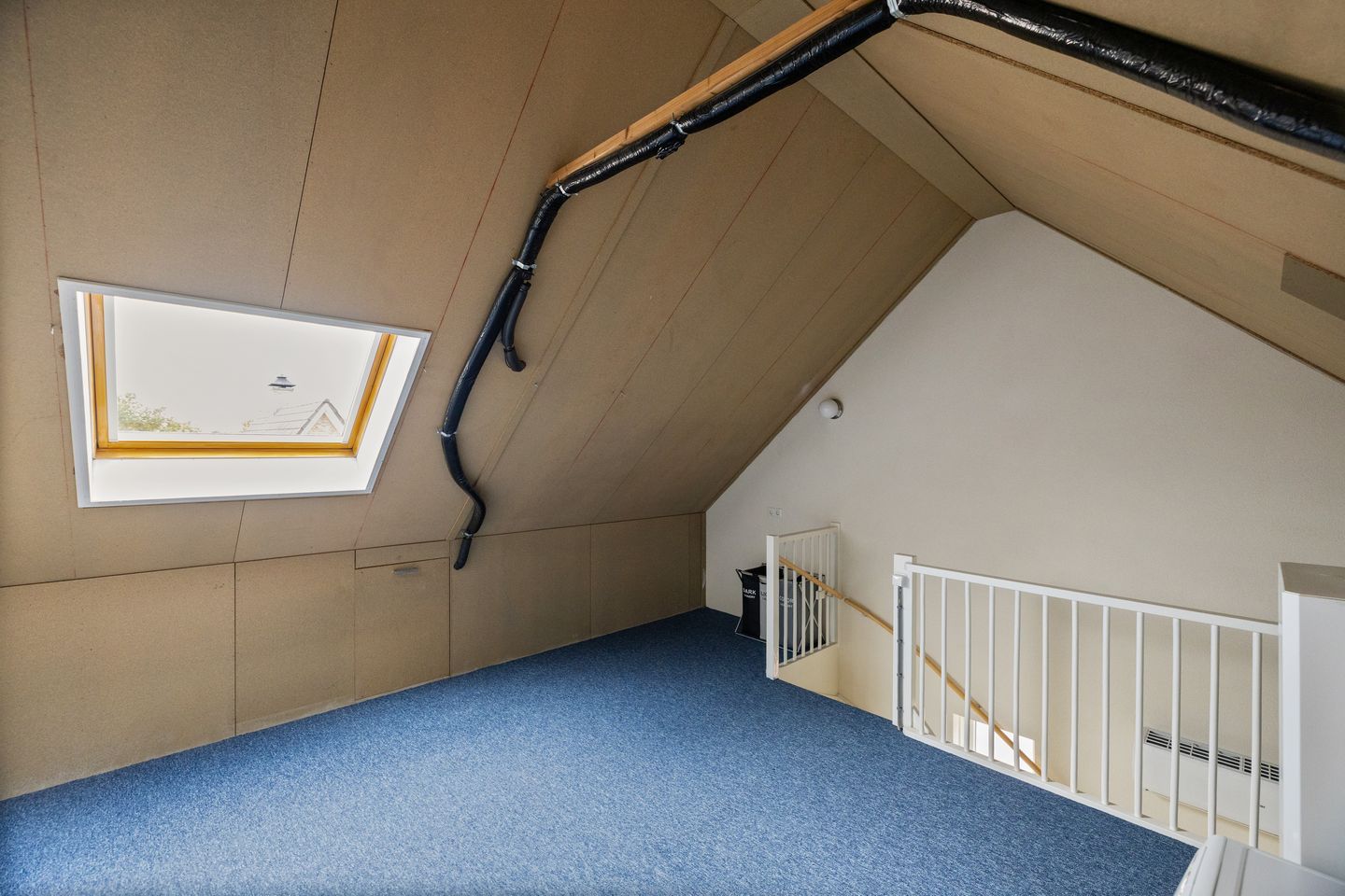 Photo 20 of Sleutelbloem 11