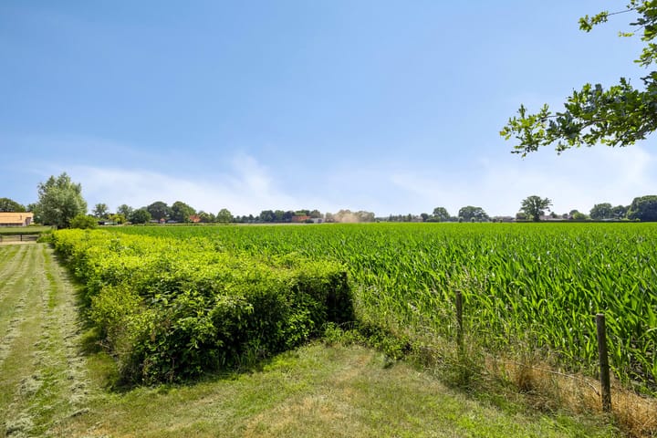 Foto 55 van Kortestraat 6