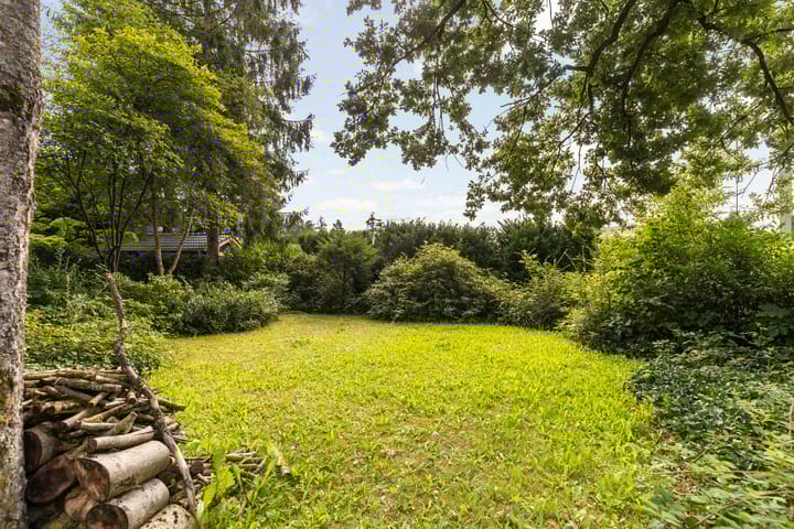 Foto 31 van F.A. Molijnlaan 44