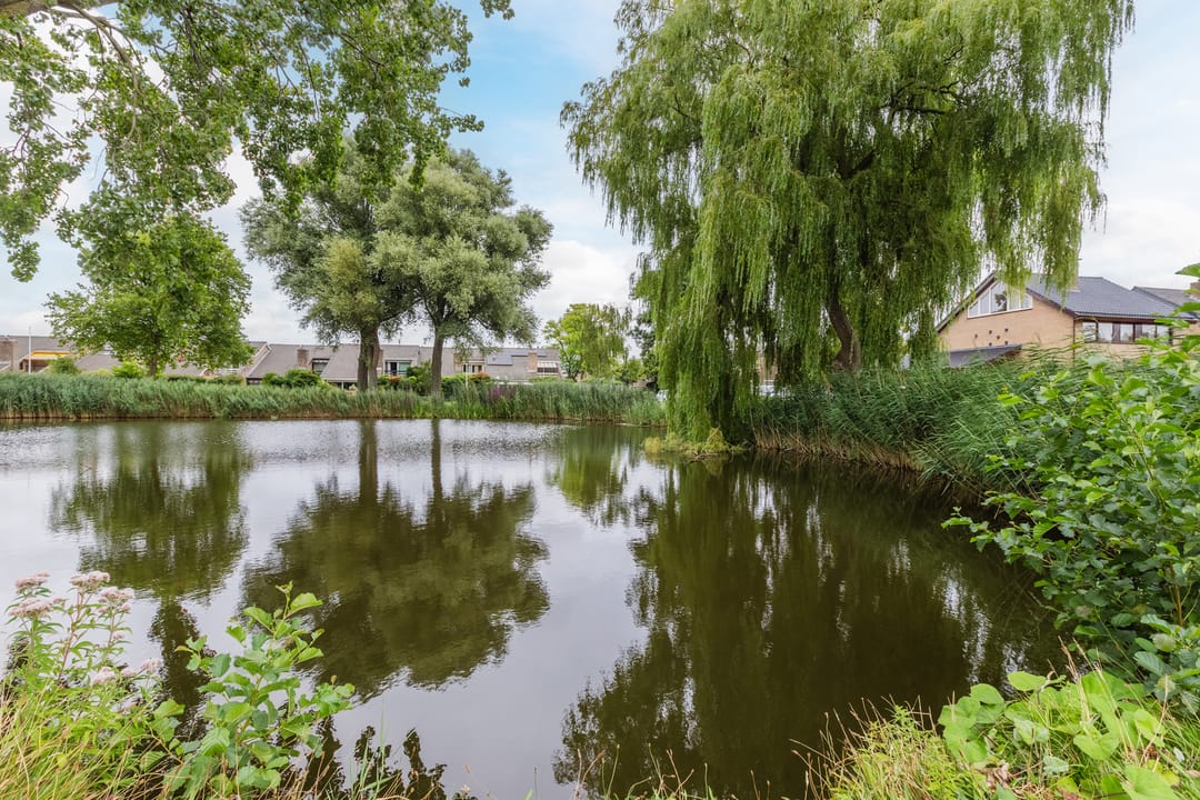 Foto 56 van Het Corteland 8