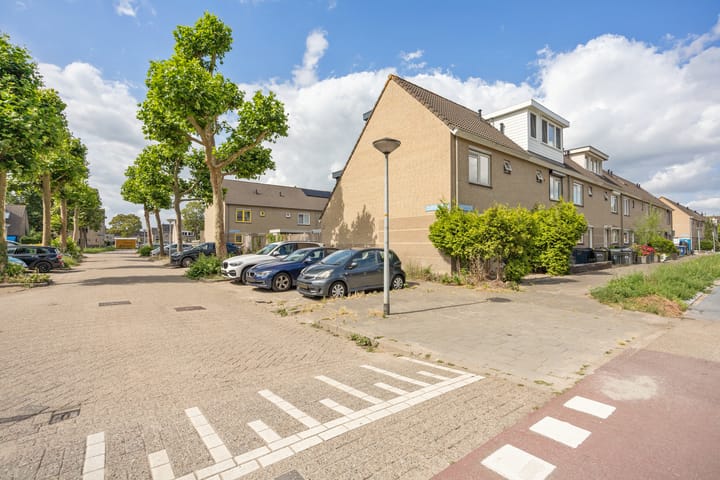 Foto 35 van Rubinsteinpad 1