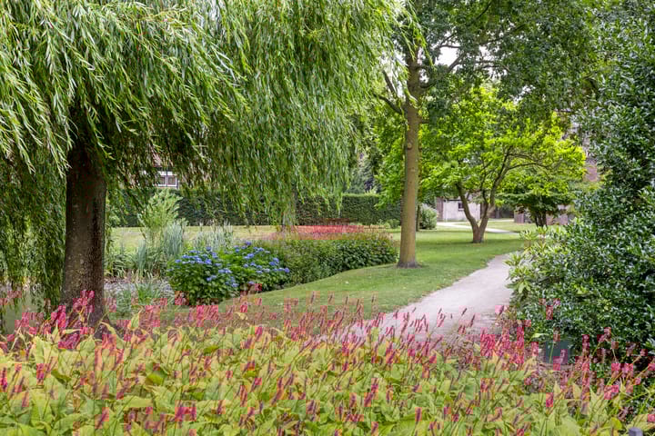 Foto 39 van Beatrixstraat 4