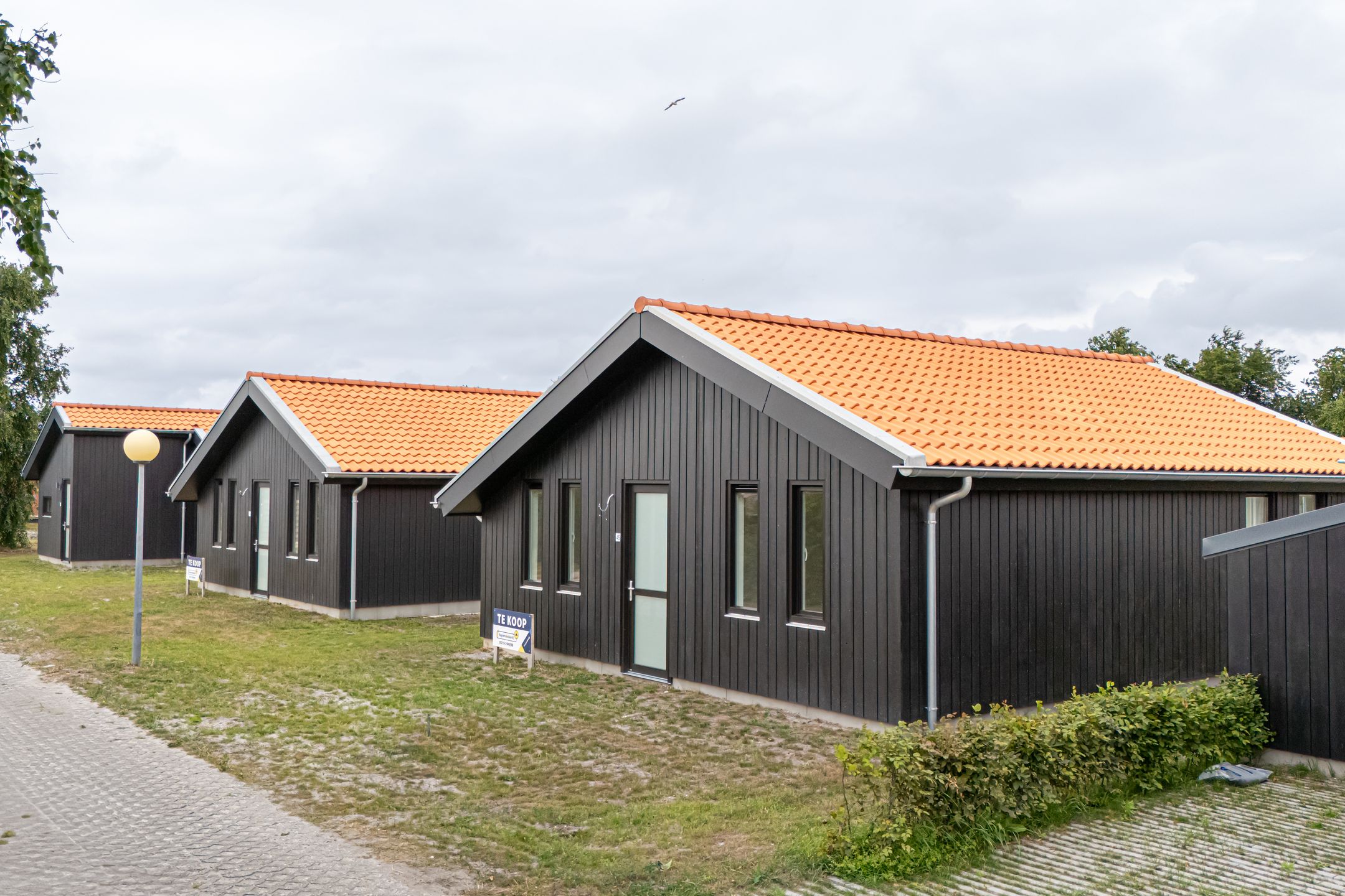 Photo 9 of Grote Siege 45