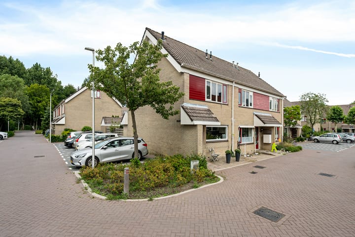 Photo 1 of Papaverveld 20