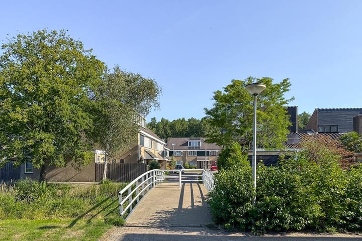 Photo 35 of Papaverveld 20