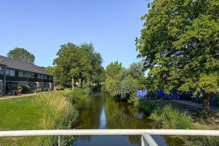 Photo 36 of Papaverveld 20