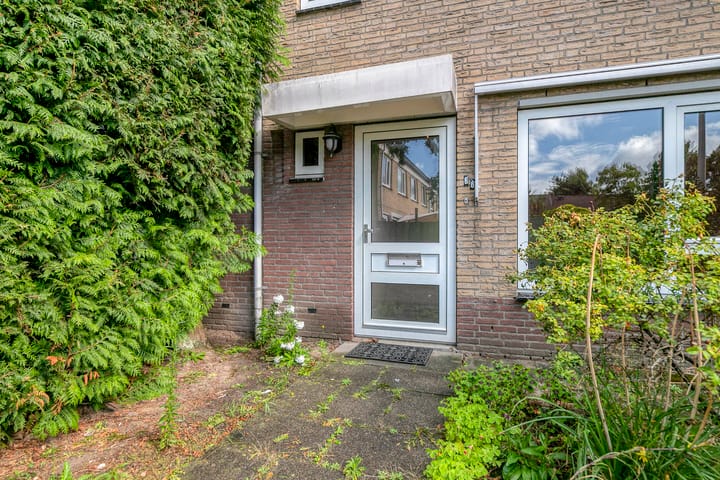 Foto 1 van Dilleberg 66