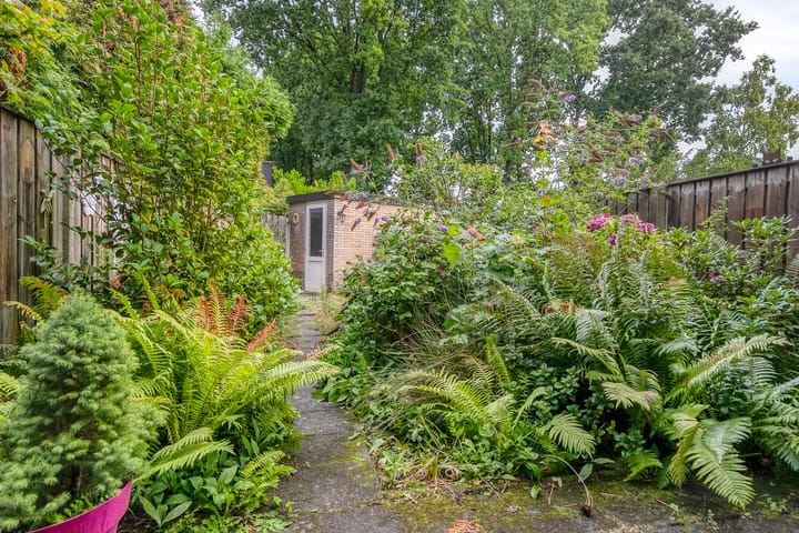 Foto 34 van Dilleberg 66