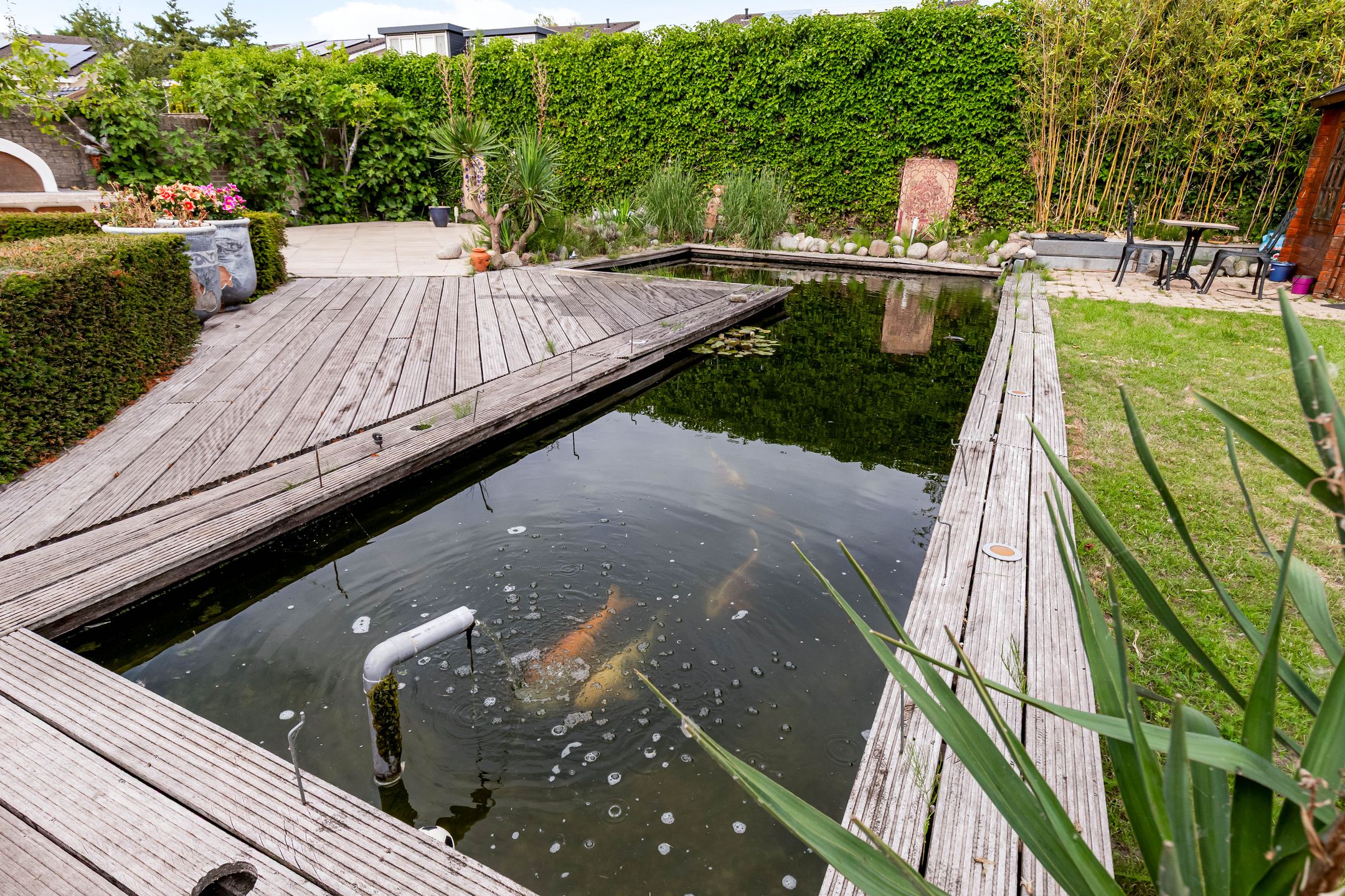 Photo 72 of De Streek 59