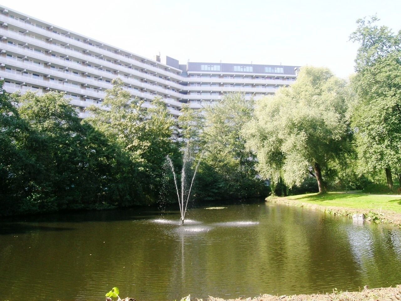 Foto 12 van Griegplein 244