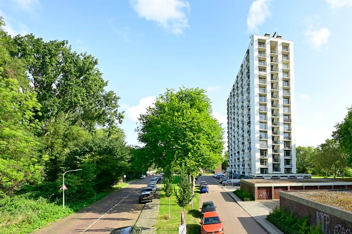 Foto 3 van Van Leeuwenhoekstraat 5-0021