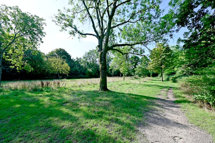 Foto 21 van Van Leeuwenhoekstraat 5-0021