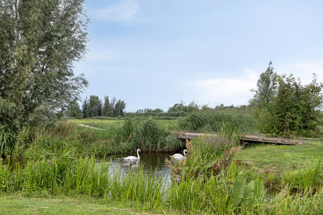 Foto 38 van Frankenweer 3