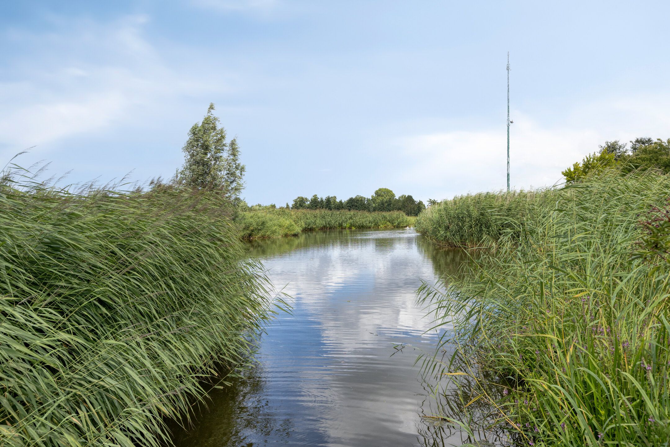 Foto 39 van Frankenweer 3