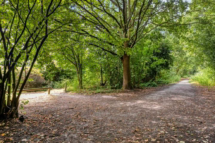 Foto 31 van Diepmeerven 80