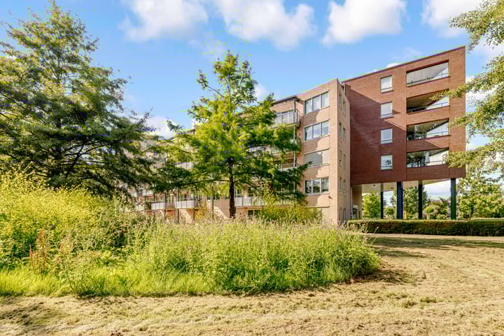 Foto 4 van Vincent van Goghstraat 168