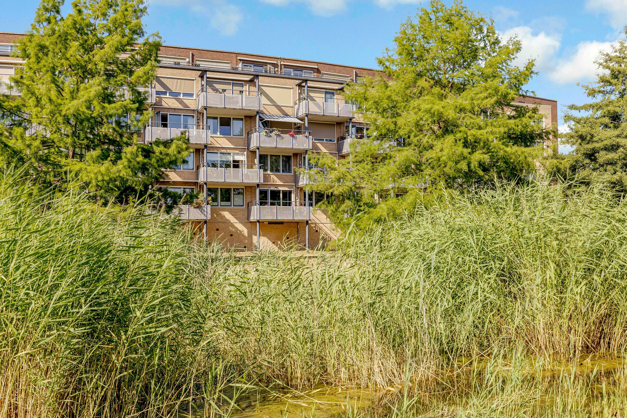 Foto 36 van Vincent van Goghstraat 168