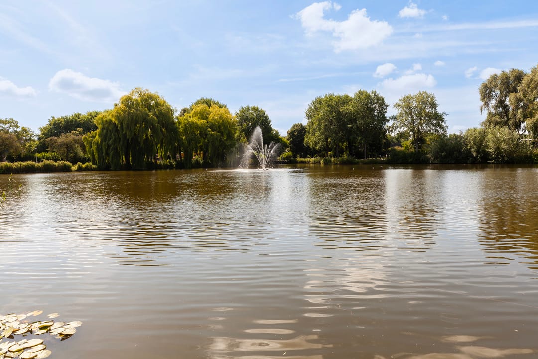 Photo 2 of Zadkinerade 56