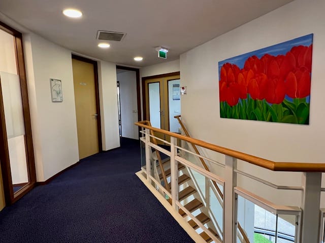 View photo 5 of Obrechtstraat 37