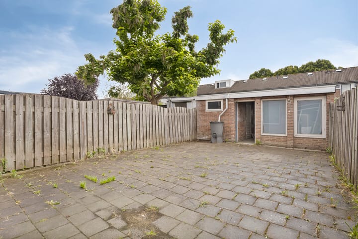 Foto 4 van Hasseltstraat 19