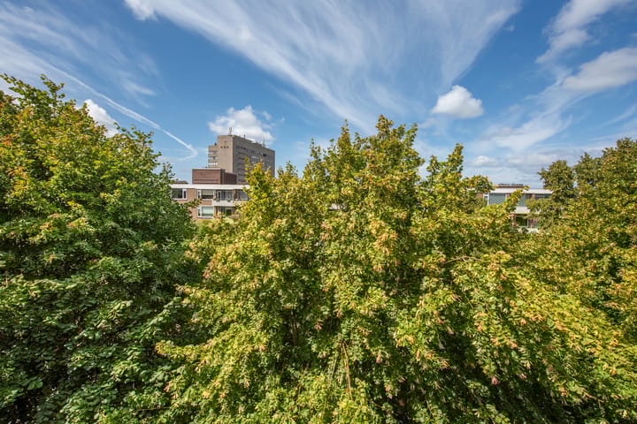 Foto 23 van Burgemeester Caan van Necklaan 211