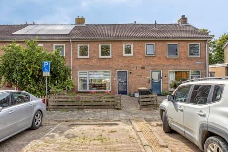 undefined main image