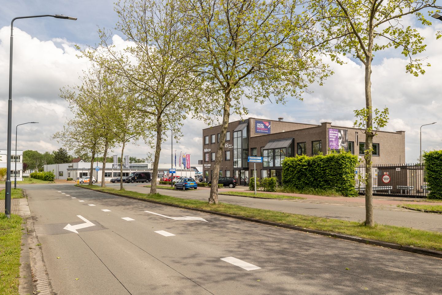 Bekijk foto 2 van Takkebijsters 65
