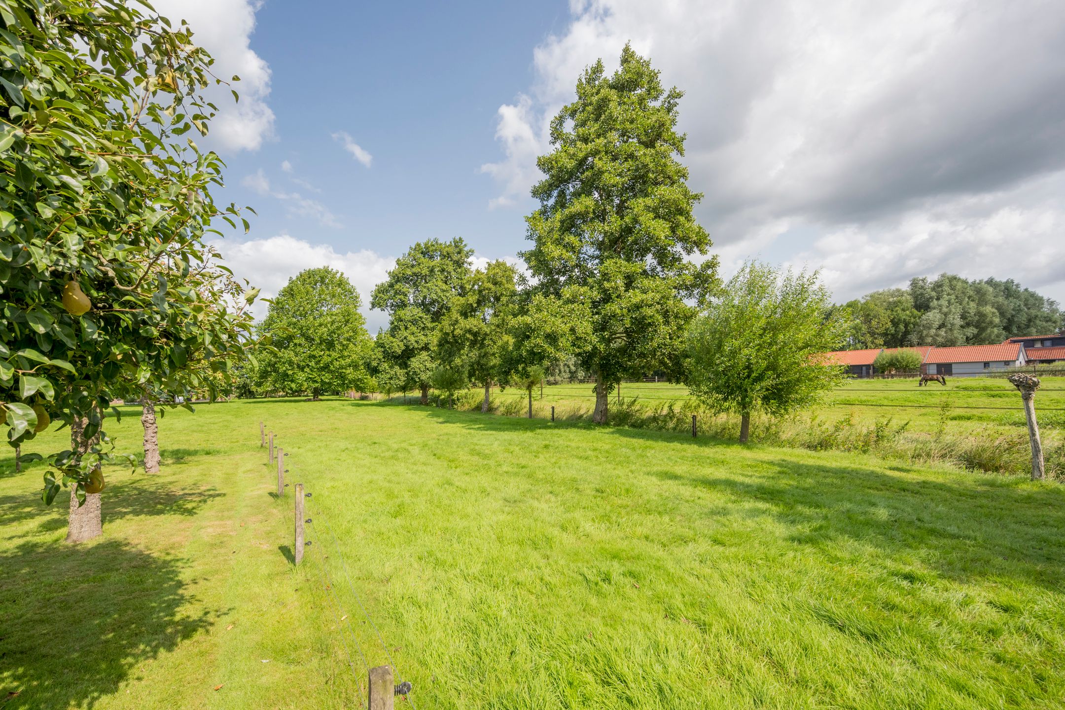 Photo 54 of Damweg 8